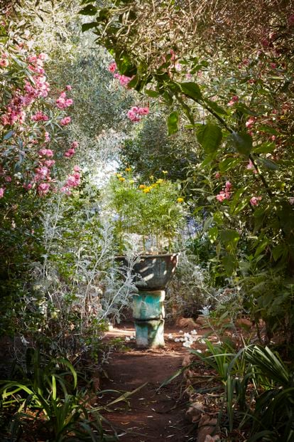 Jardín en Rohuna (Marruecos), cultivado por Umberto Pasti. Foto de Ngoc Minh Ngo.