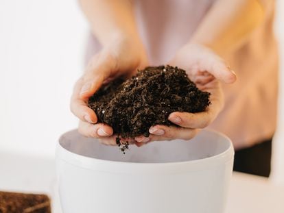 Un sustrato suelto y esponjoso formado por fibra de coco, compost y algo de perlita.