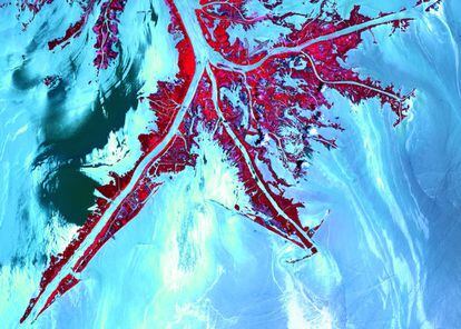 La explosión de la plataforma petrolífera 'Deepwater Horizon' en abril de 2010 provocó una marea negra en el golfo de México que afectó al delta del río Misisipi, rico en biodiversidad. El rojo de la foto muestra las zonas de vegetación, en contraste con tonos azules y blanquecinos del agua. Mientras, las grandes manchas de fuel (que se acumularon en las zonas más pantanosas) aparecen, paradójicamente, en un blanco reluciente.
