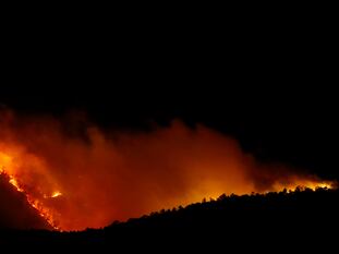 Incendio en Arico, en la isla de Tenerife.