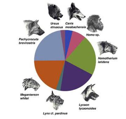 Diagrama de la distribución entre especies de la carne disponible en Orce