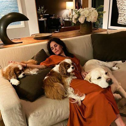 Al principio de la cena, Courteney Cox compartió un selfie junto a su hija, Coco Arquette, de 15 años. Pero la actriz acabó tan cansada al final de la noche, que decidió inmortalizar el momento con un retrato en el sofá rodeada de sus mascotas.