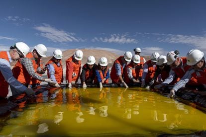 Un grupo de trabajadores inspecciona una piscina de salmuera en una mina de litio de SQM, en el salar de Atacama.