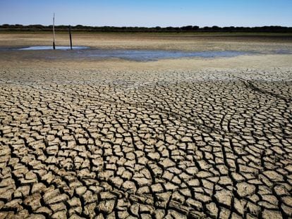 Laguna Santa Olalla, sin apenas agua en su fondo, el pasado miércoles 31 de agosto. 