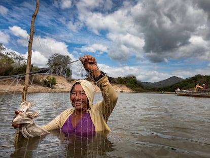 Una mujer pesca usando una red en las aguas poco profundas del río Rupununi, en Guyana. Los estudios indican que los medios de vida que dependen de la caza son sostenibles dentro de las tierras indígenas de la región.