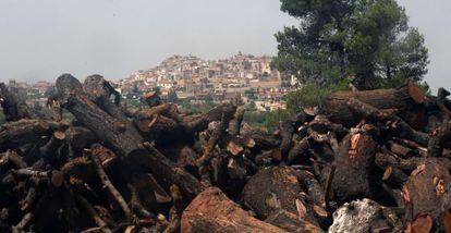 La madera de los pinos quemados en Horta de Sant Joan en verano de 2009, se amontona ahora frente a la ciudad