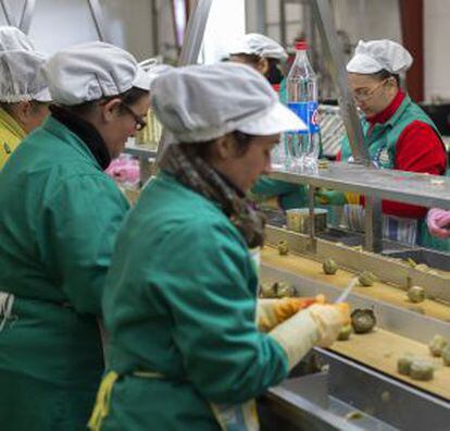 Mujeres de la cooperativa envasando alcachofas.