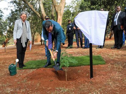 El presidente del Gobierno, Pedro Sánchez, planta un árbol en la sede de Naciones Unidas en Nairobi (Kenia), este jueves durante su gira africana.