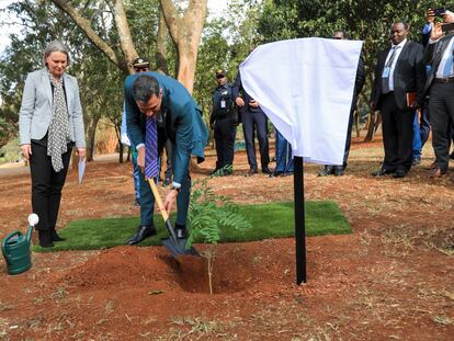 El presidente del Gobierno, Pedro Sánchez, planta un árbol en la sede de Naciones Unidas en Nairobi (Kenia), este jueves durante su gira africana.