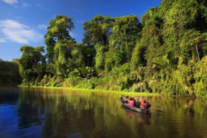 Canales del parque nacional de Tortuguero, en Costa Rica.