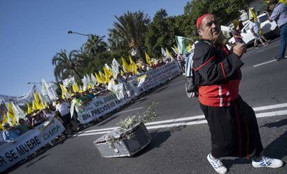 Manifestante en la protesta por precios dignos de olivareros en Sevilla.