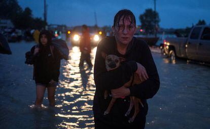 Una mujer sostiene a su perro en brazos mientras son evacuados, el 28 de agosto de 2017 en Houston.