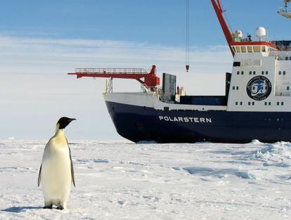 En el a&ntilde;o 2000 Rossi hizo su primer viaje a la Ant&aacute;rtida a bordo del buque laboratorio Polarstern.