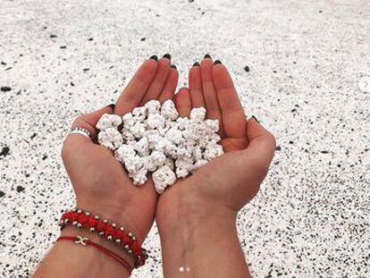 Un paraje de Fuerteventura sufre un expolio de sus algas calcáreas por su parecido con las palomitas de maíz