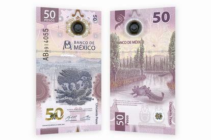 El nuevo billete de 50 pesos celebra la fundación de México-Tenochtitlan |  EL PAÍS México