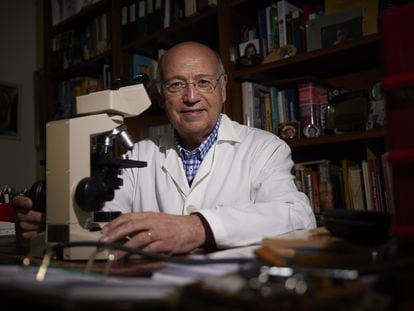 El catedrático de Bioquímica y Biología Molecular de la Universidad de Granada Ángel Gil, en su despacho durante la entrevista.