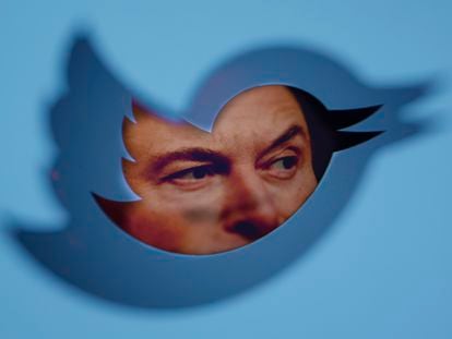 El dueño de Twitter, Elon Musk, asoma a través del logo de la red social.