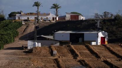 Finca Aljóbar de la Casa de Alba en Aznalcázar (Sevilla), denunciada por la Fiscalía por ocho pozos clandestinos, el pasado viernes.