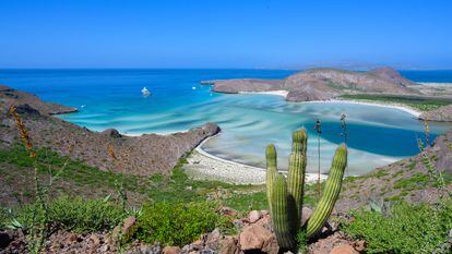 Playa Balandra, en Baja California Sur, México.