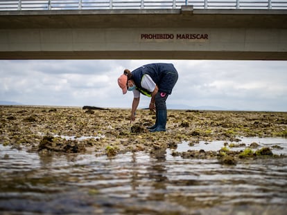 Mariscadora en la playa de O Vao, en la Illa de Arousa, en junio de 2021.