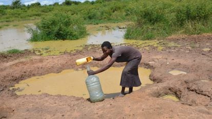 Una mujer colecta agua de una charca formada tras las recientes inundaciones en la región de Albertine, Uganda.
