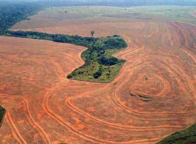 Vista aérea de bosques roturados en Novo Progreso (Brasil) para plantar soja.