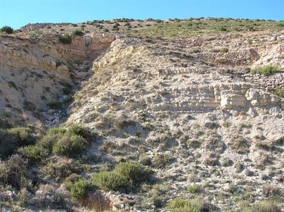 Límite Toarciense-Aaleniense en Fuentelsaz.