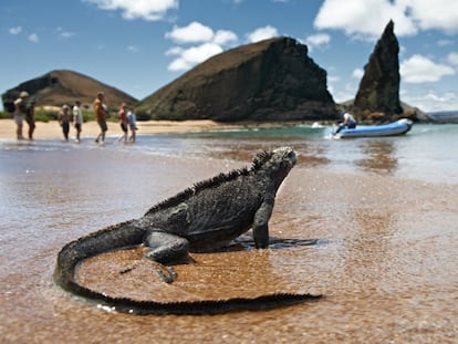 Islas Galápagos, el archipiélago volcánico mejor conservado del mundo.