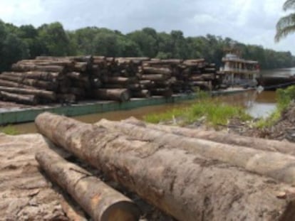 Desmantelamiento en la Amazonía