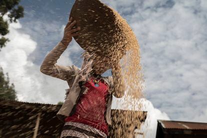 Una mujer matiza un tipo de cereal en la carretera de Arsi, Etiopía.