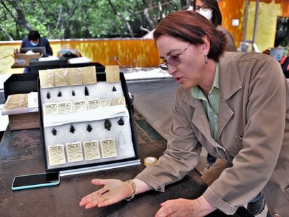 La arqueóloga María de Lourdes López Camacho muestra uno de los hallazgos del yacimiento arqueológico del Bosque de Chapultepec, en Ciudad de México.