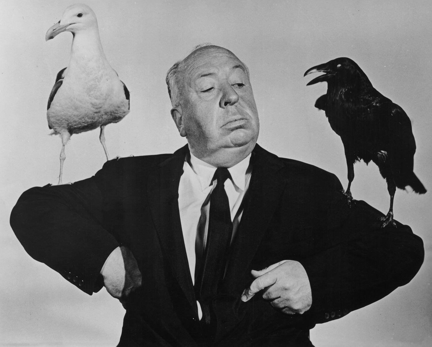 Alfred Hitchcock posando en 1963 en una imagen promocional de su película 'Los pájaros'.
