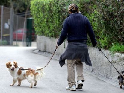 Una voluntaria pasea perros de la perrera municipal de Barcelona.