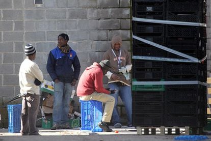 Un grupo de hombres aguarda tras llevar unas cajas a la zona de almacenes de Mercamadrid.