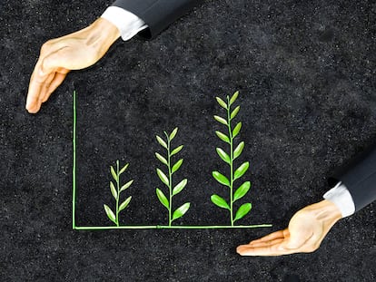 La sostenibilidad, estrategia rentable para las empresas