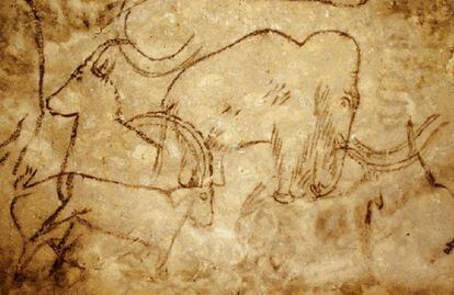  Rouffignac (Francia). En este sistema de cuevas de ocho kilómetros se han conservado más de 250 representaciones de bisontes, rinocerontes lanudos y mamuts pintados por un artista de paleolítico hace unos 15.000 años. Fue descubierta hace 500 años, de ahí que algunas de sus pinturas son más recientes. Buena parte de la visita subterránea se realiza a bordo de un pequeño tren.