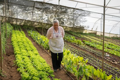 Hannia Villalobos, esposa de Rodolfo Zamora y también propietaria de la finca Rinconcito Orgánico Irazú, en Costa Rica, camina por uno de sus cultivos.