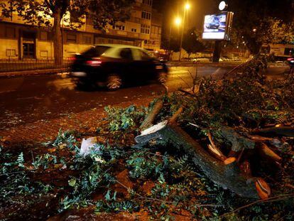 Ramas de árboles caídas por Leslie en Lisboa.