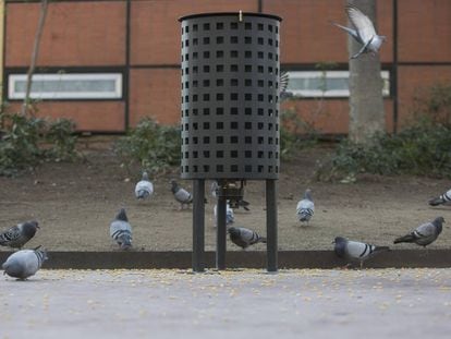 Dispensador de pienso con contraceptivos para controlar las palomas en Barcelona.