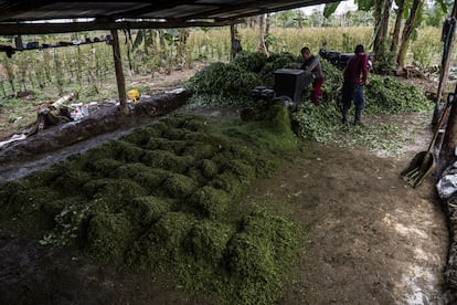 Derechos humanos en Colombia