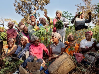 Un grupo de mujeres agriculturas que conforman una cooperativa en Yoko, Camerún.