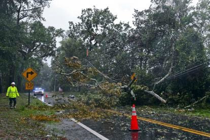 Un trabajador evaluaba este miércoles los daños eléctricos que ha provocado la caída de un árbol en una carretera de Tallahassee, en Florida.