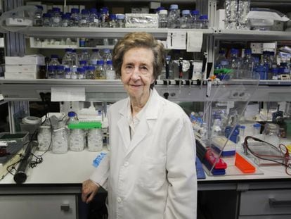 La científica Margarita Salas, en el Centro de Biología Molecular Severo Ochoa en 2015.