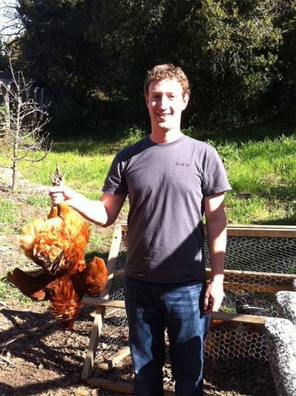 El fundador de Facebook, Mark Zuckerberg, sostiene una gallina por las patas en una de las fotografías de su perfil que han sido colgadas en imgur.
