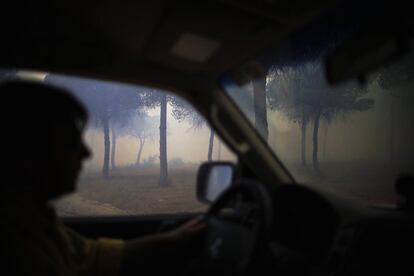Zona de pinares de Mazagón (Huelva) cubierta de humo.