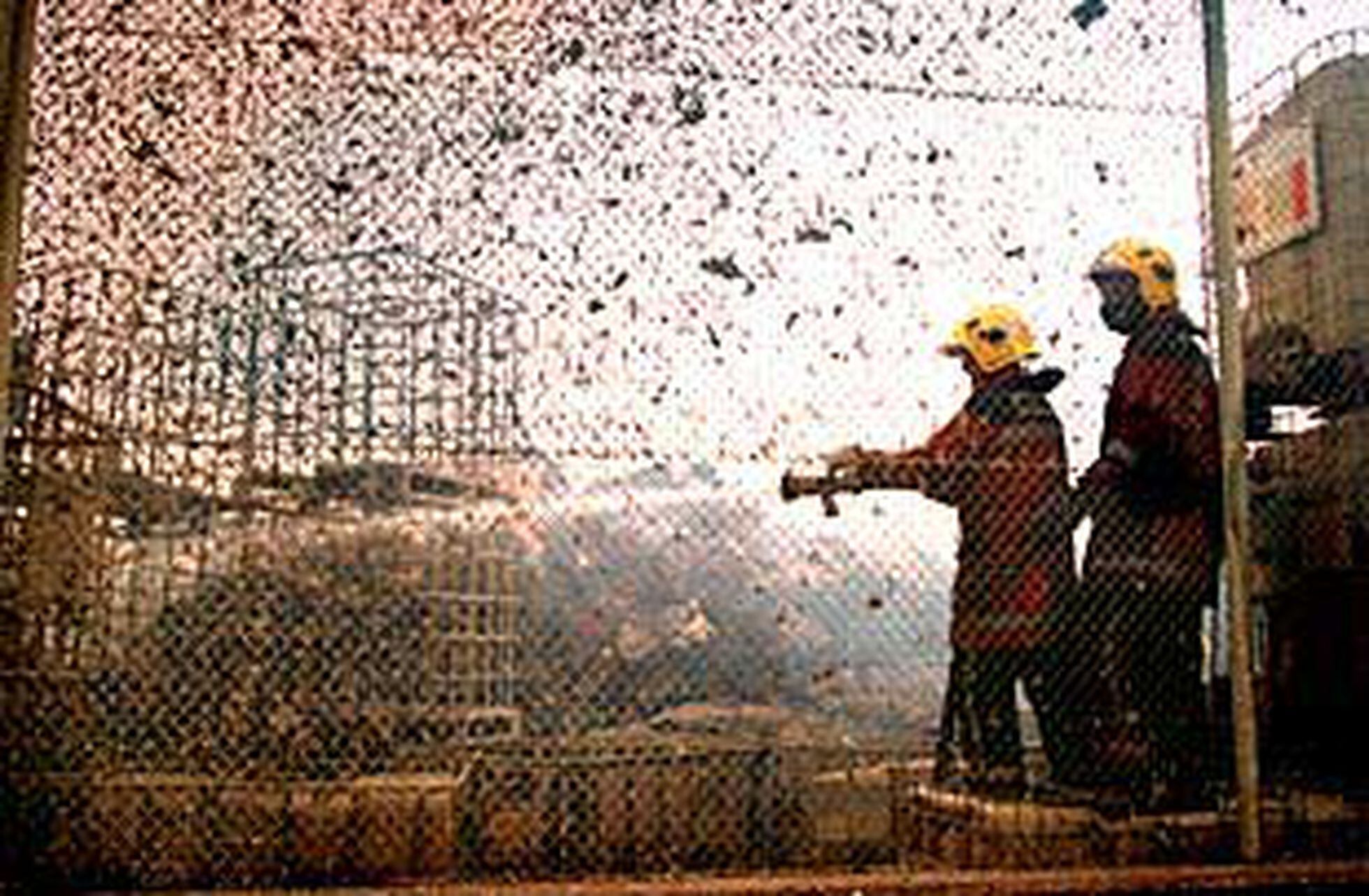 Arden 6.000 toneladas de papel en el incendio de un almacén de El Prat Arden 6.000 toneladas de papel en el incendio de un almacén de El Prat