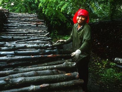 Una mujer descarga troncos de manglar que serán usados para producir carbón en Tailandia.