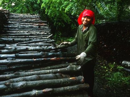 El CARBÓN VEGETAL o picón. Transformación tradicional de madera en carbón  en 1991, Documental