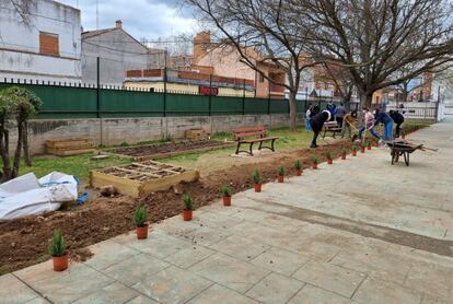 Regenerar la vida vegetal en los patios. Estudiantes de ESO y Bachillerato del Instituto Público de Educación Secundaria Alonso Quijano en Alcalá de Henares (Madrid).