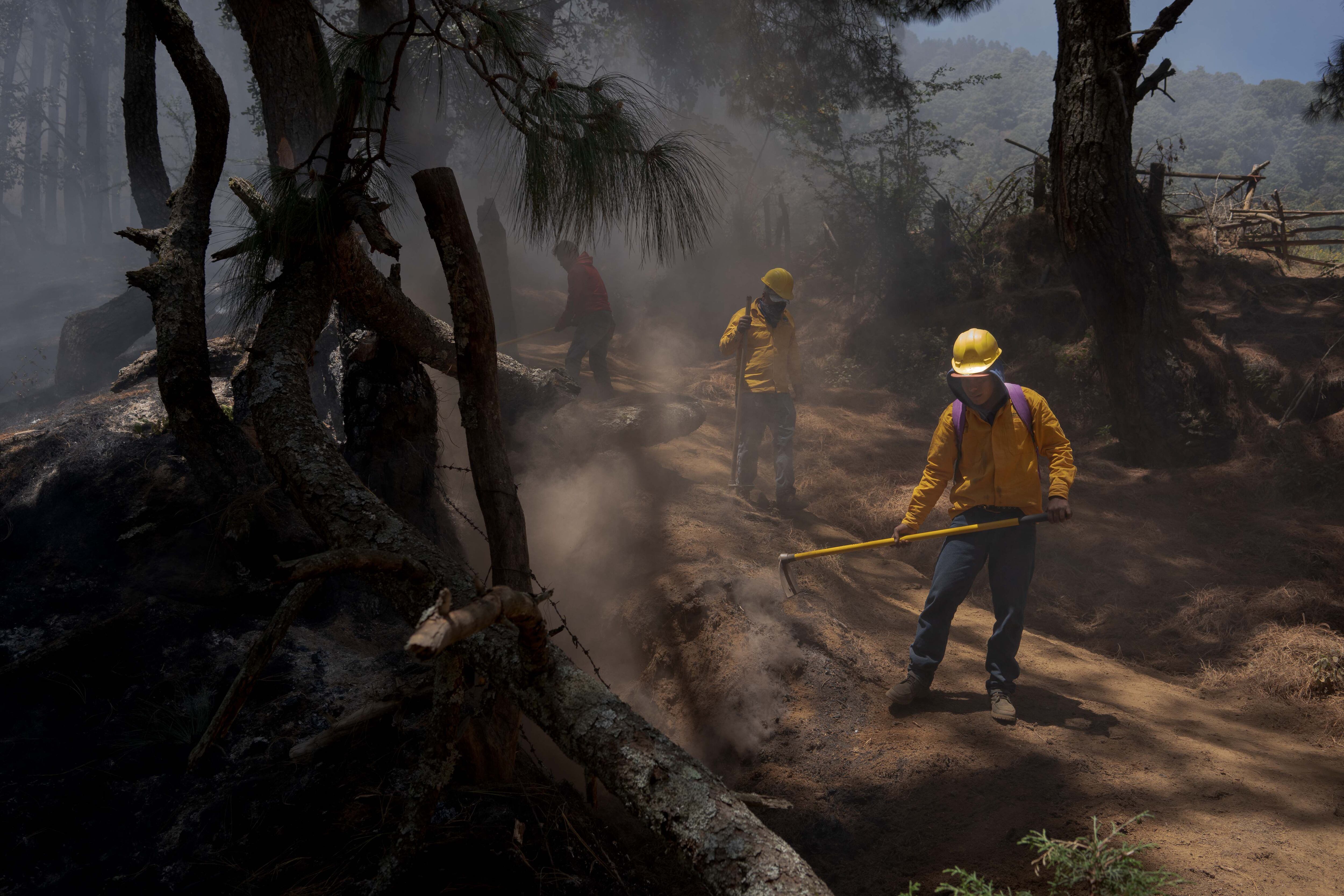 Una brigada para la prevención de incendios forestales trabaja en los bosques alrededor de Cherán, en abril.